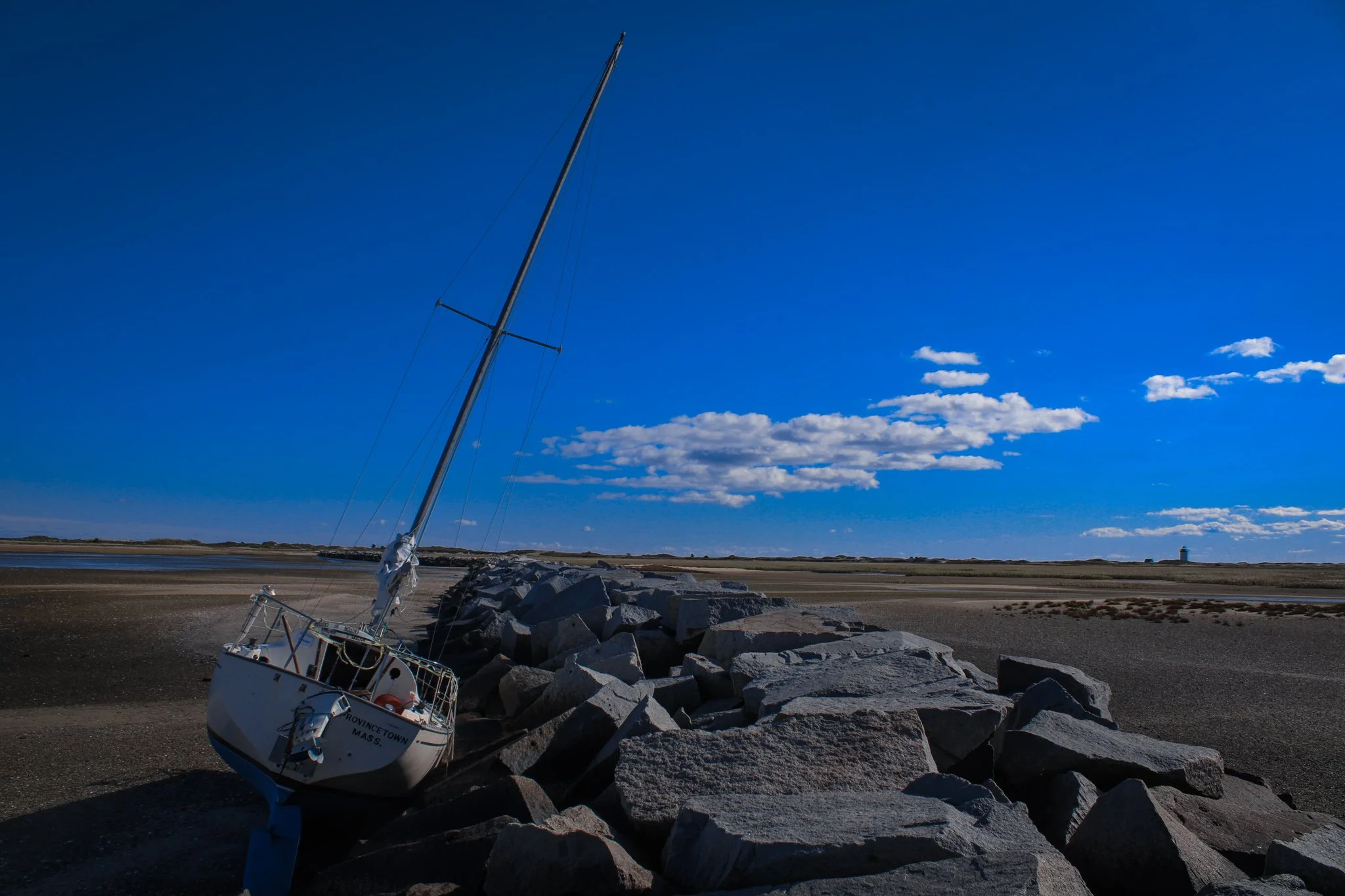 IMG_4676.jpg