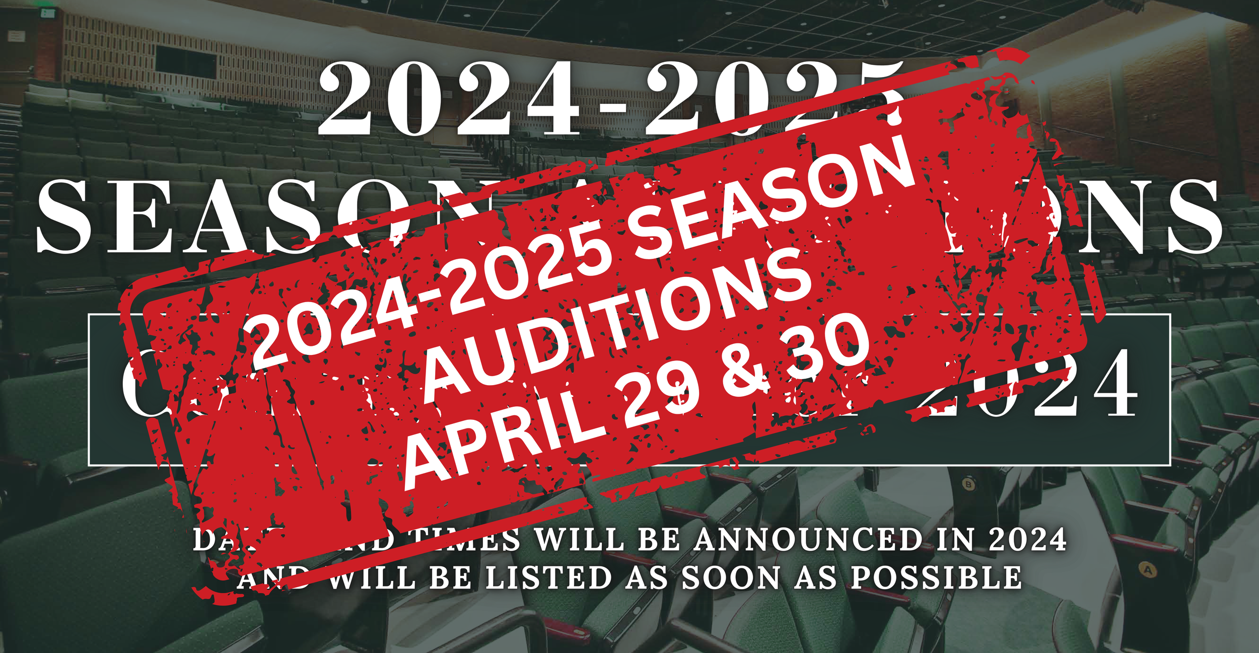 Auditions Website Banner (11).png