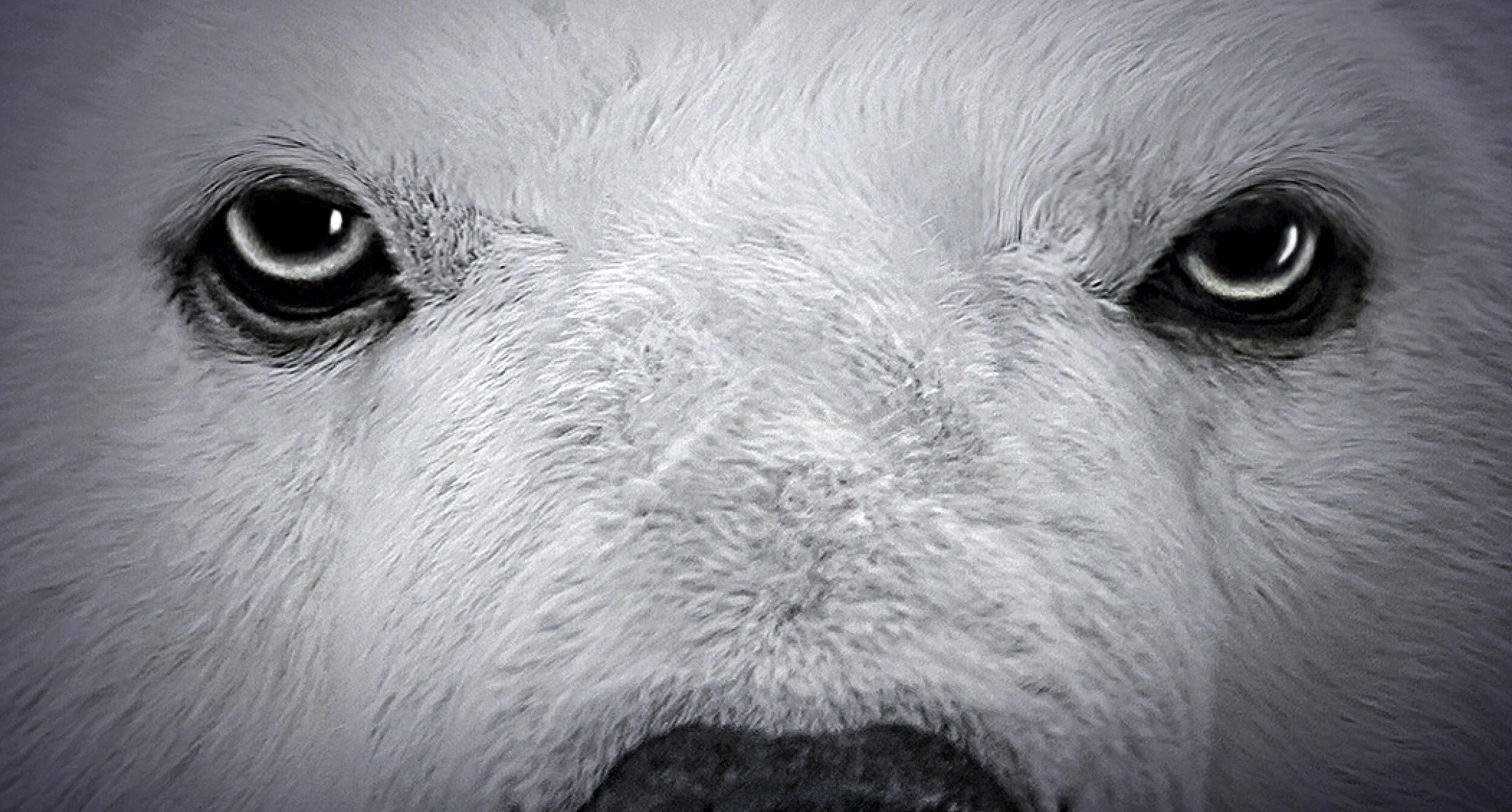 Matt Rooke Climate Centre_portfolio Header.jpg