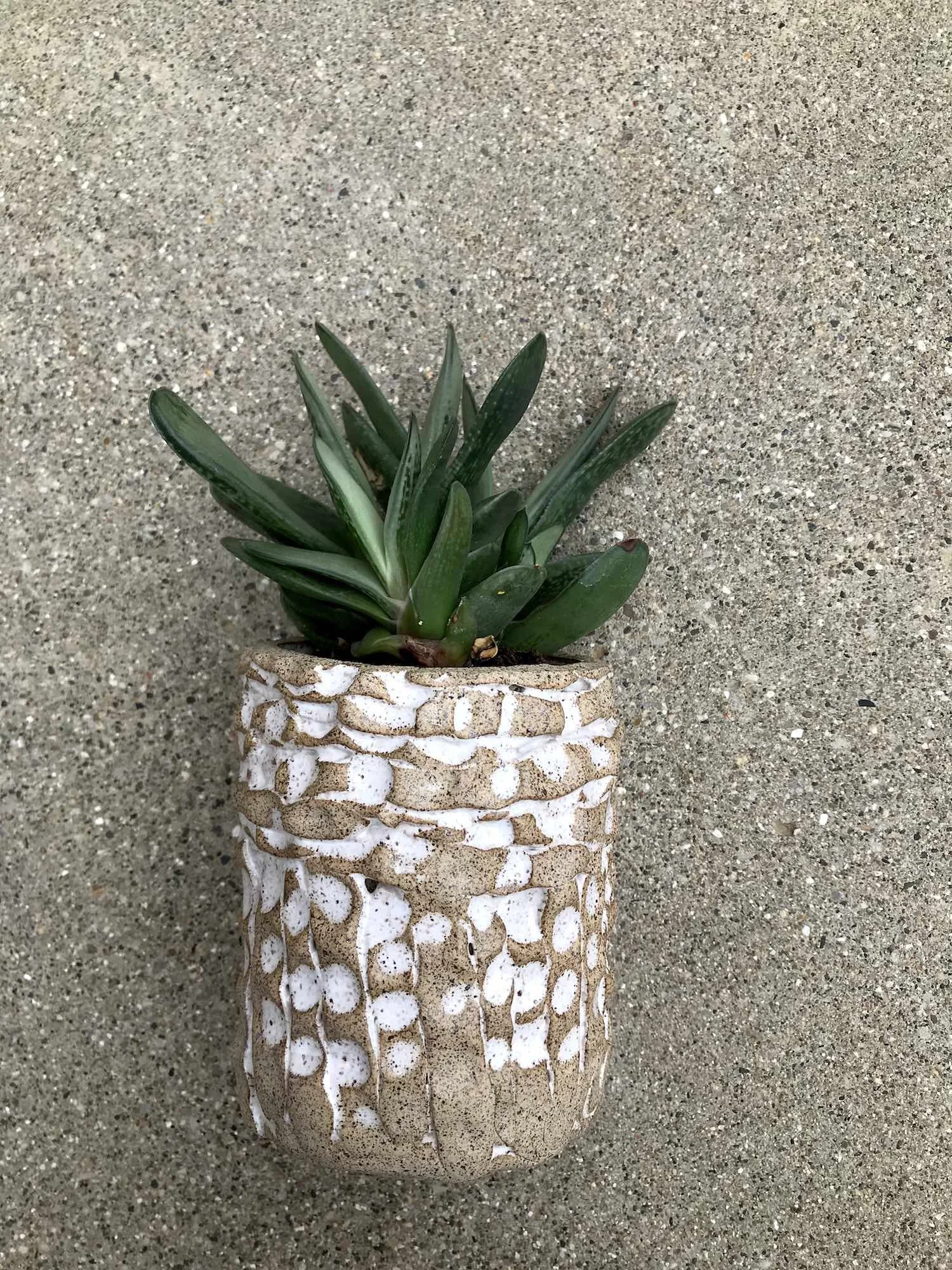 product5_sand planter1.jpg