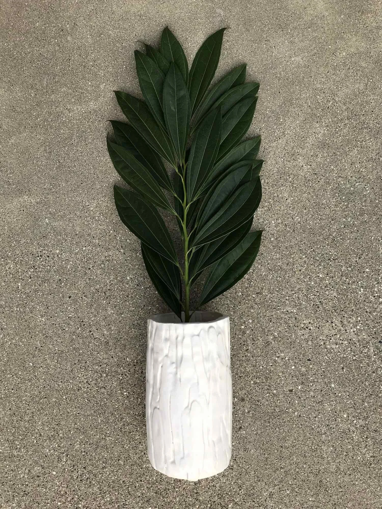 product11_tall vertical stripe vase1.1.jpg