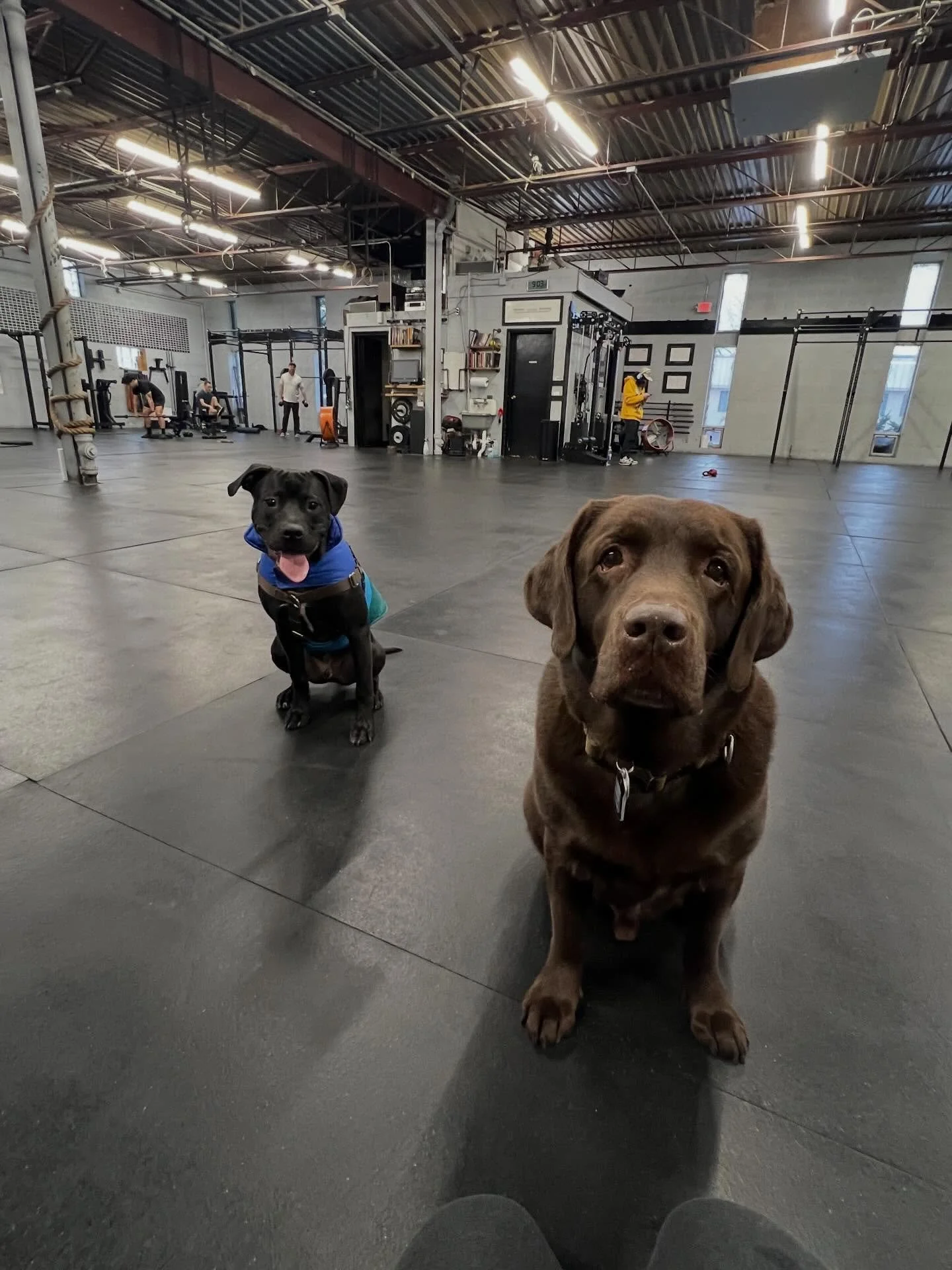 My year was full and my cup runneth over. I fell off posting here regularly, but my &lsquo;behind the scenes&rsquo; were vibrant, textured, layered and lovely. 

I taught more, which is to say, learned more than in previous years. Between the clay st