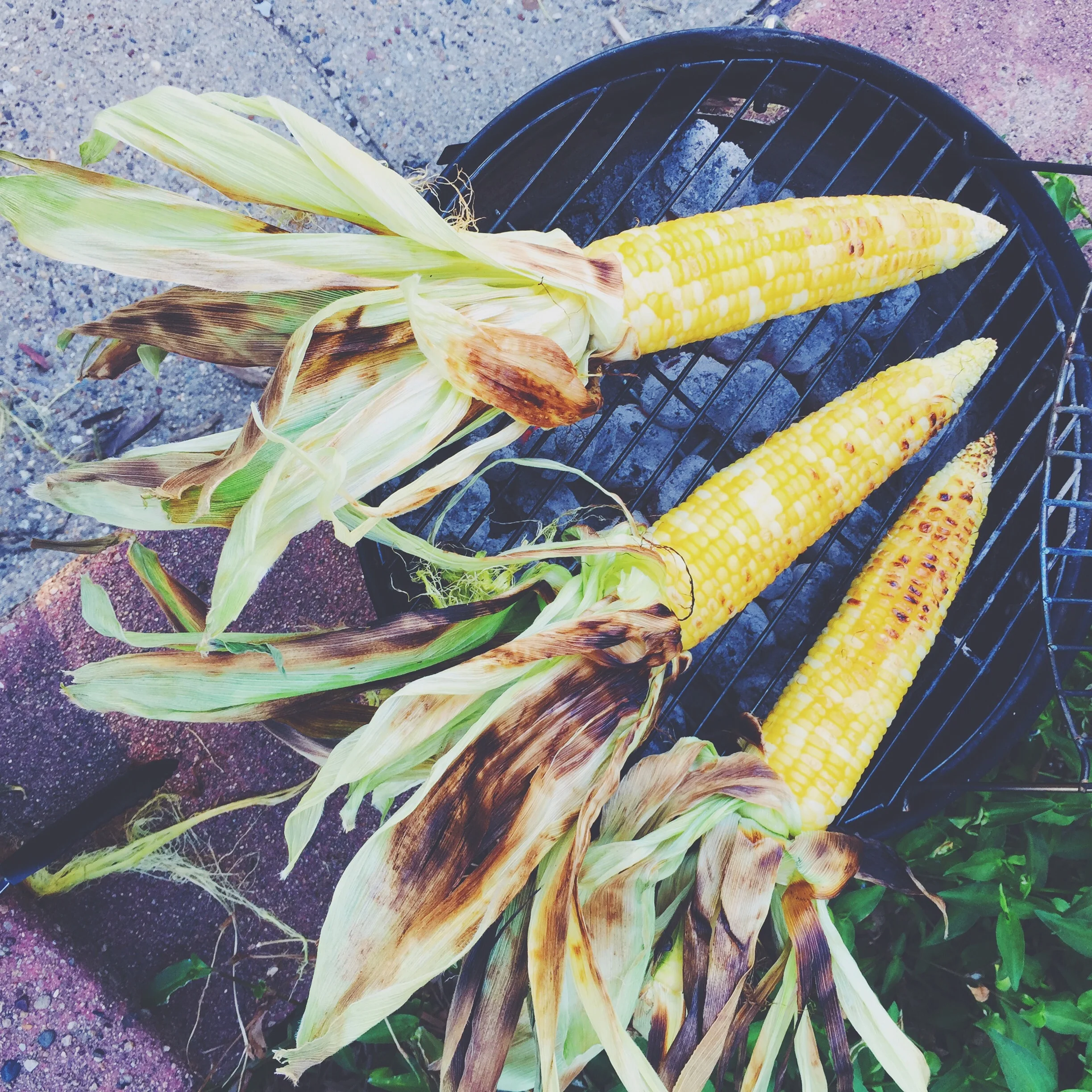 grilled corn on the cob