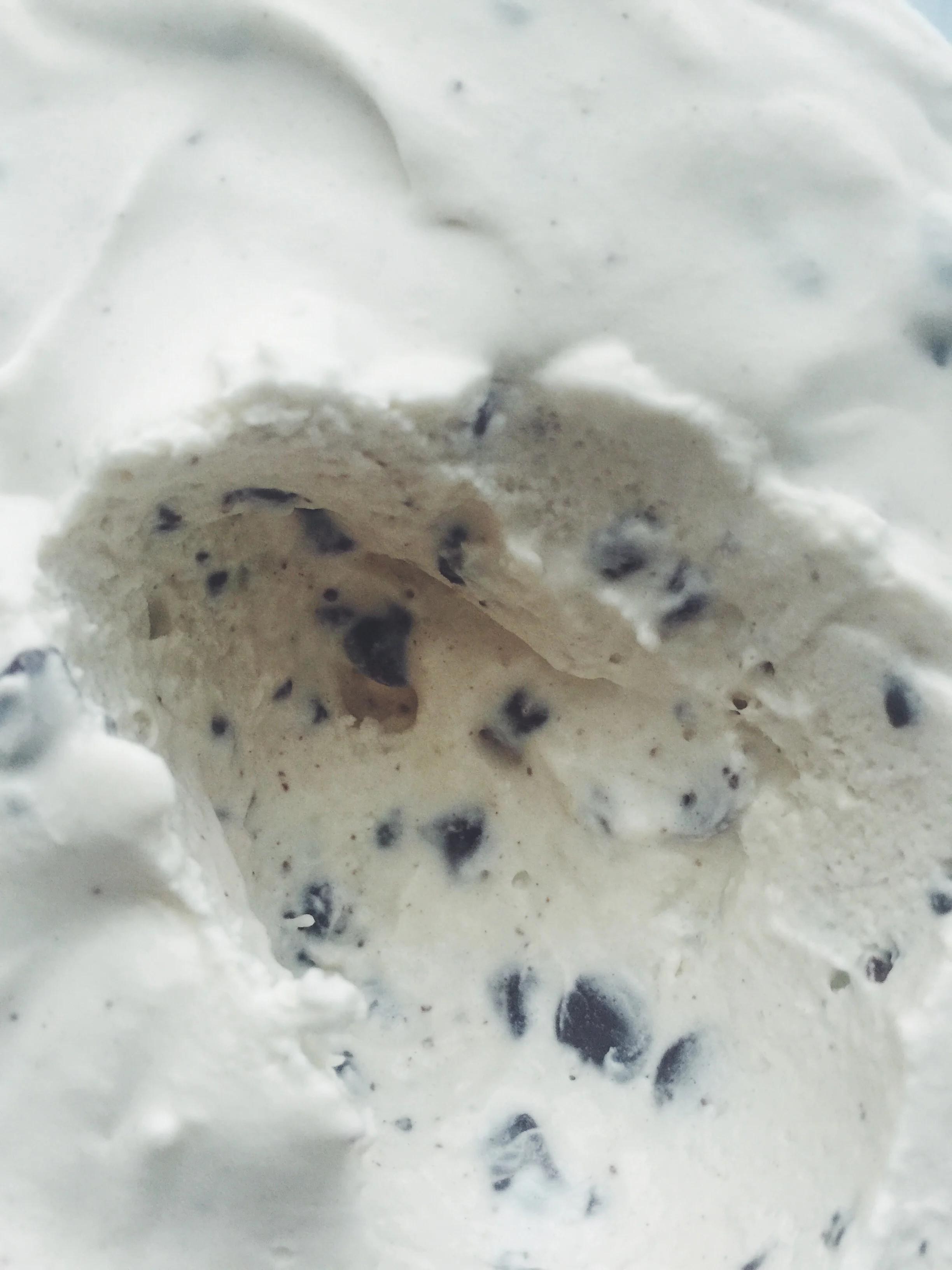 homemade mint chip ice cream