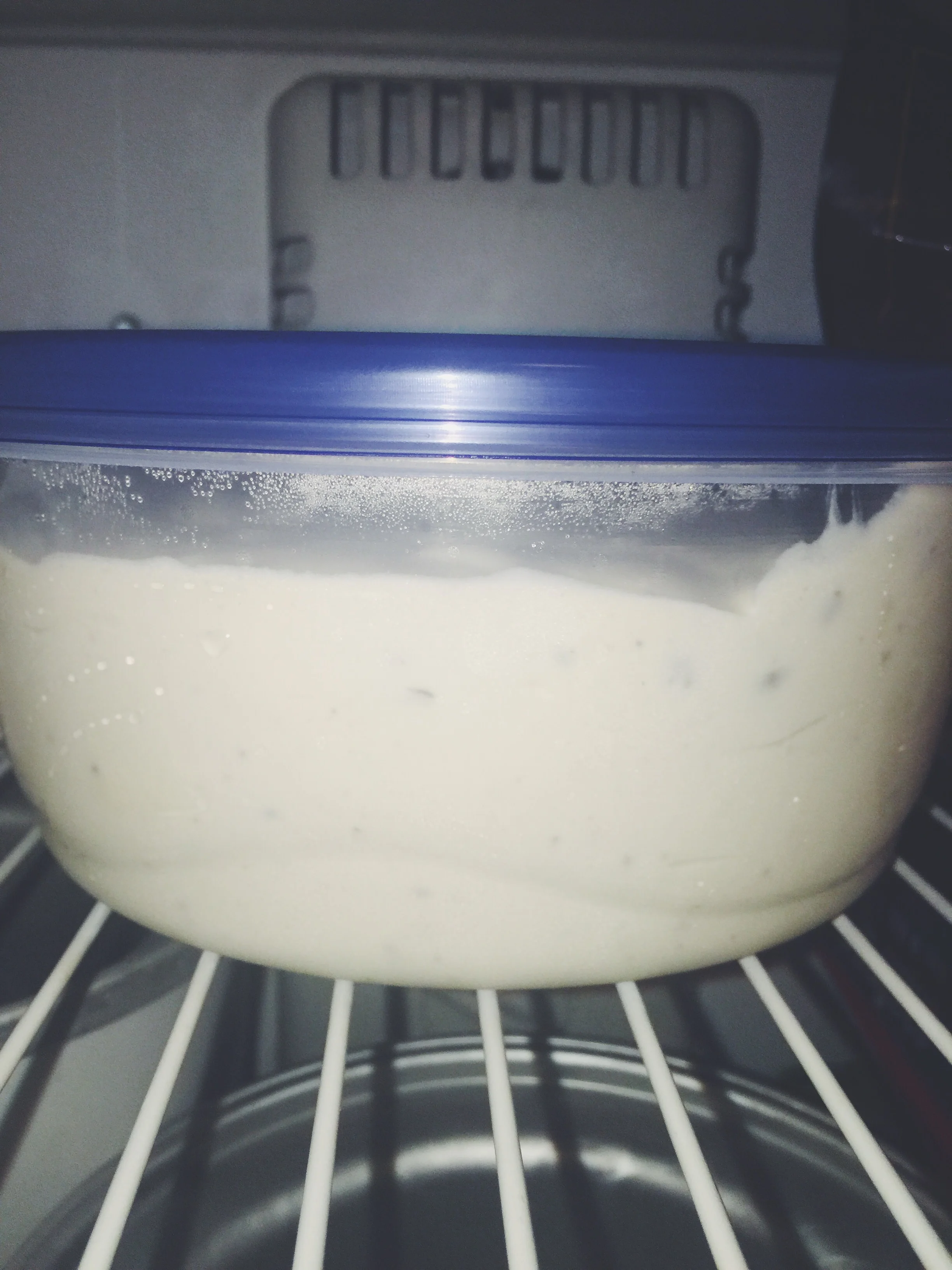 mint chocolate chip ice cream in freezer