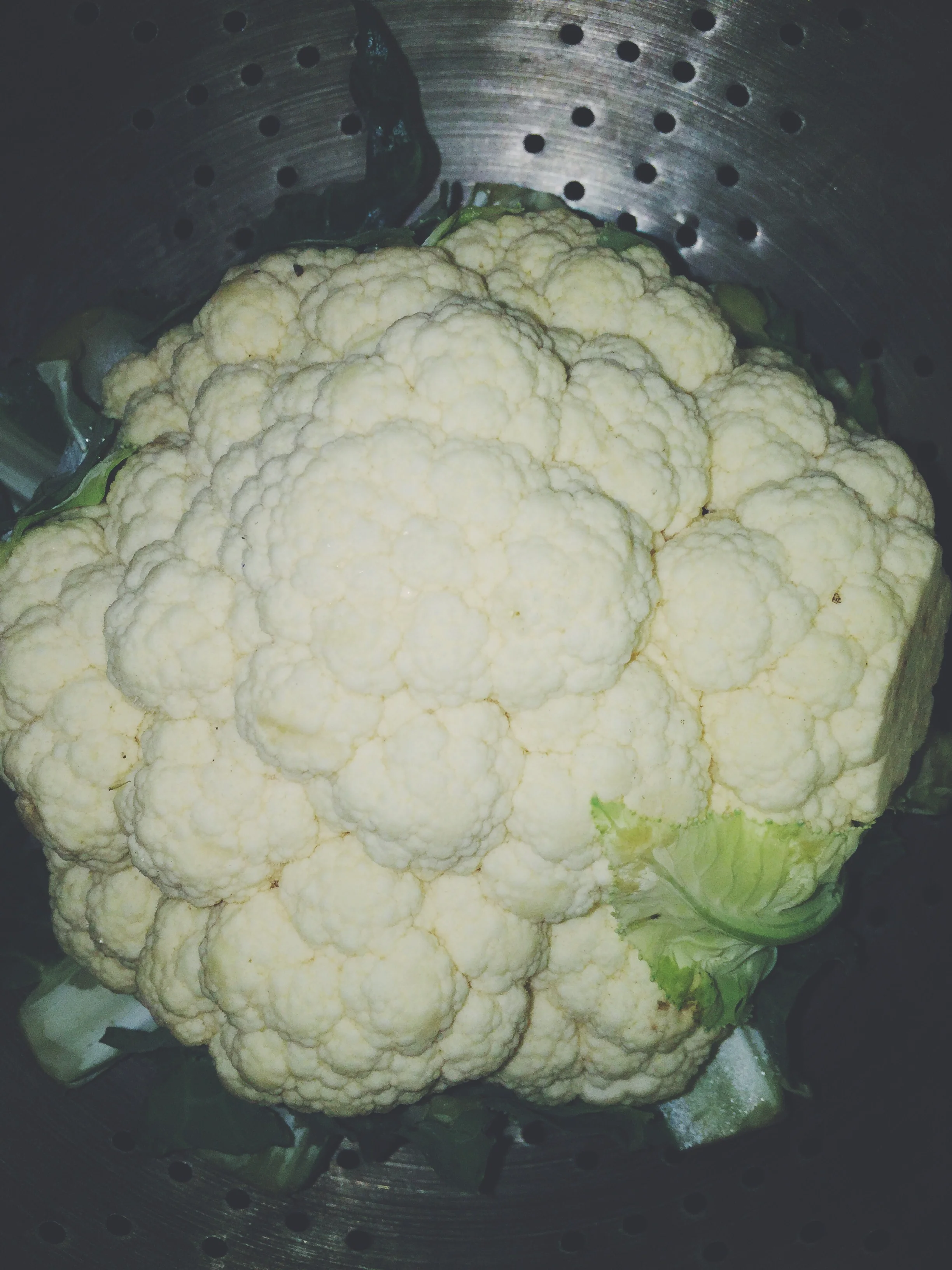 head of cauliflower