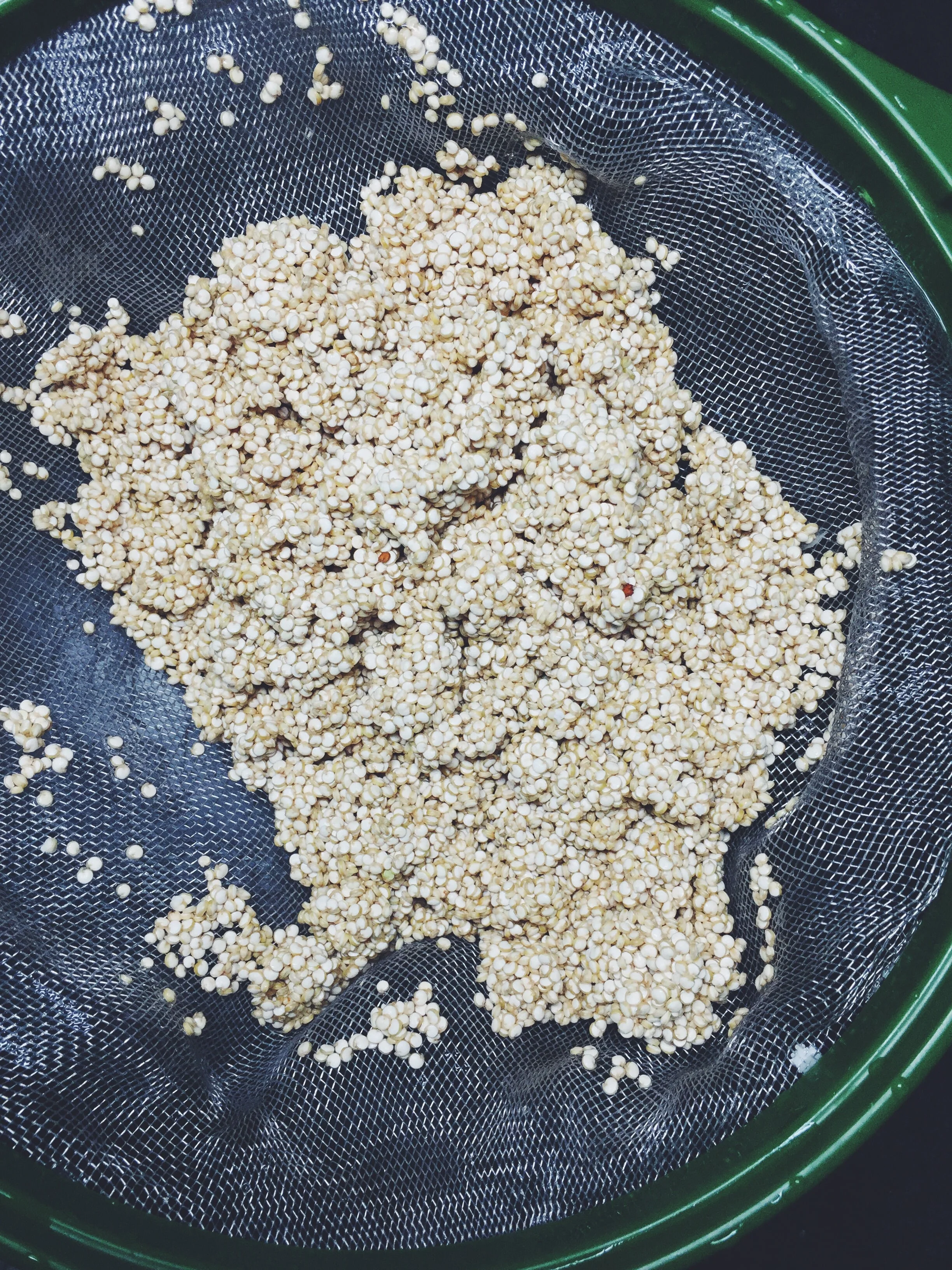 rinsing quinoa