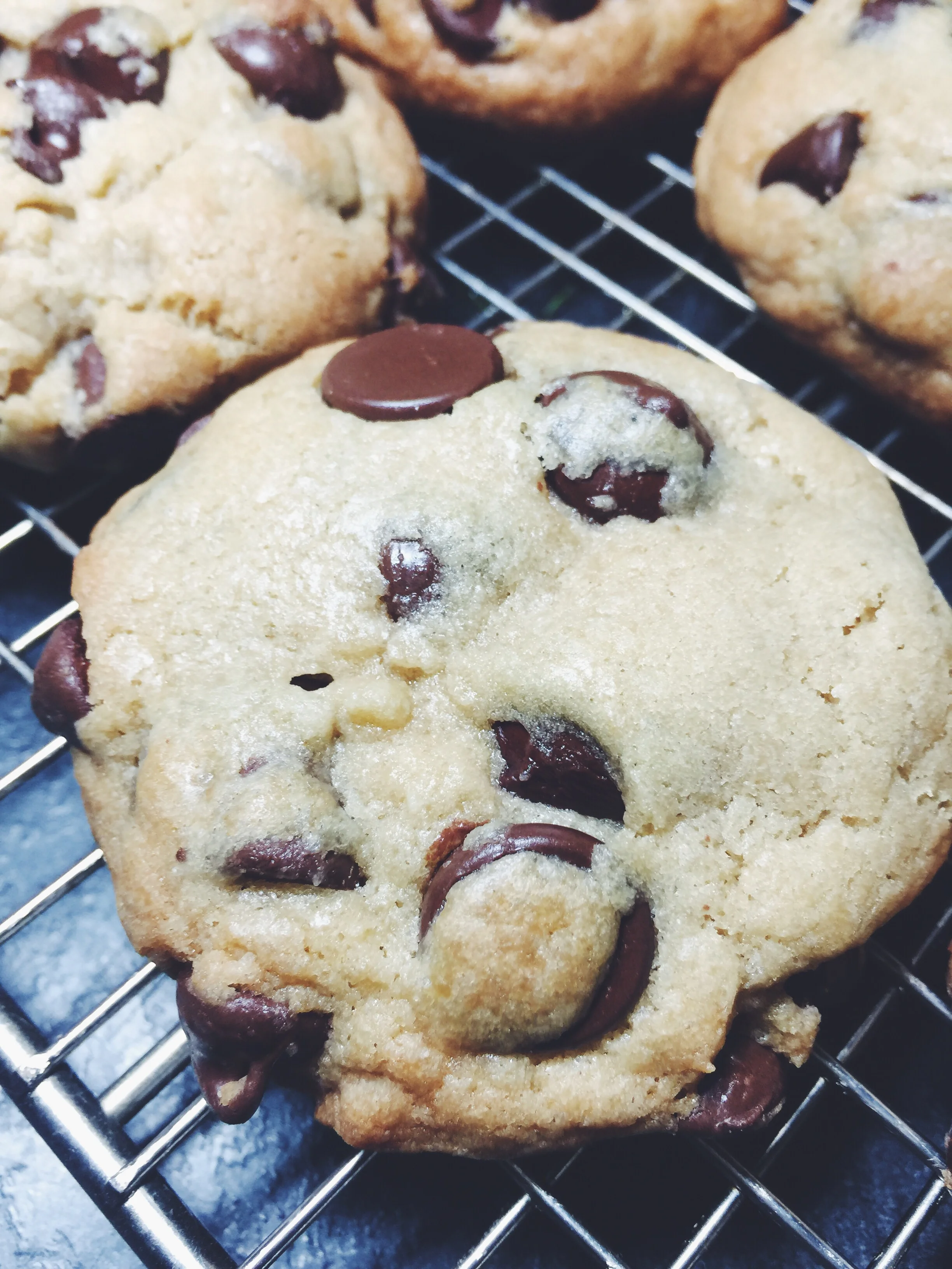 the chocolateyest chocolate chip cookies