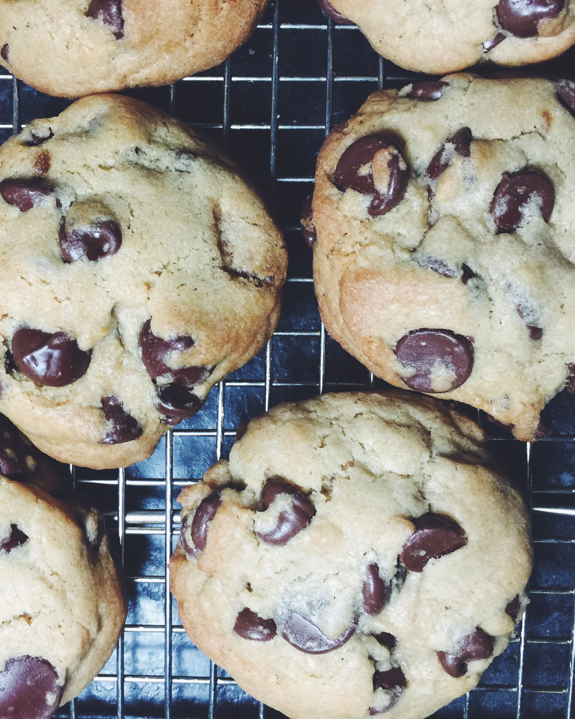 chocolate chip cookies