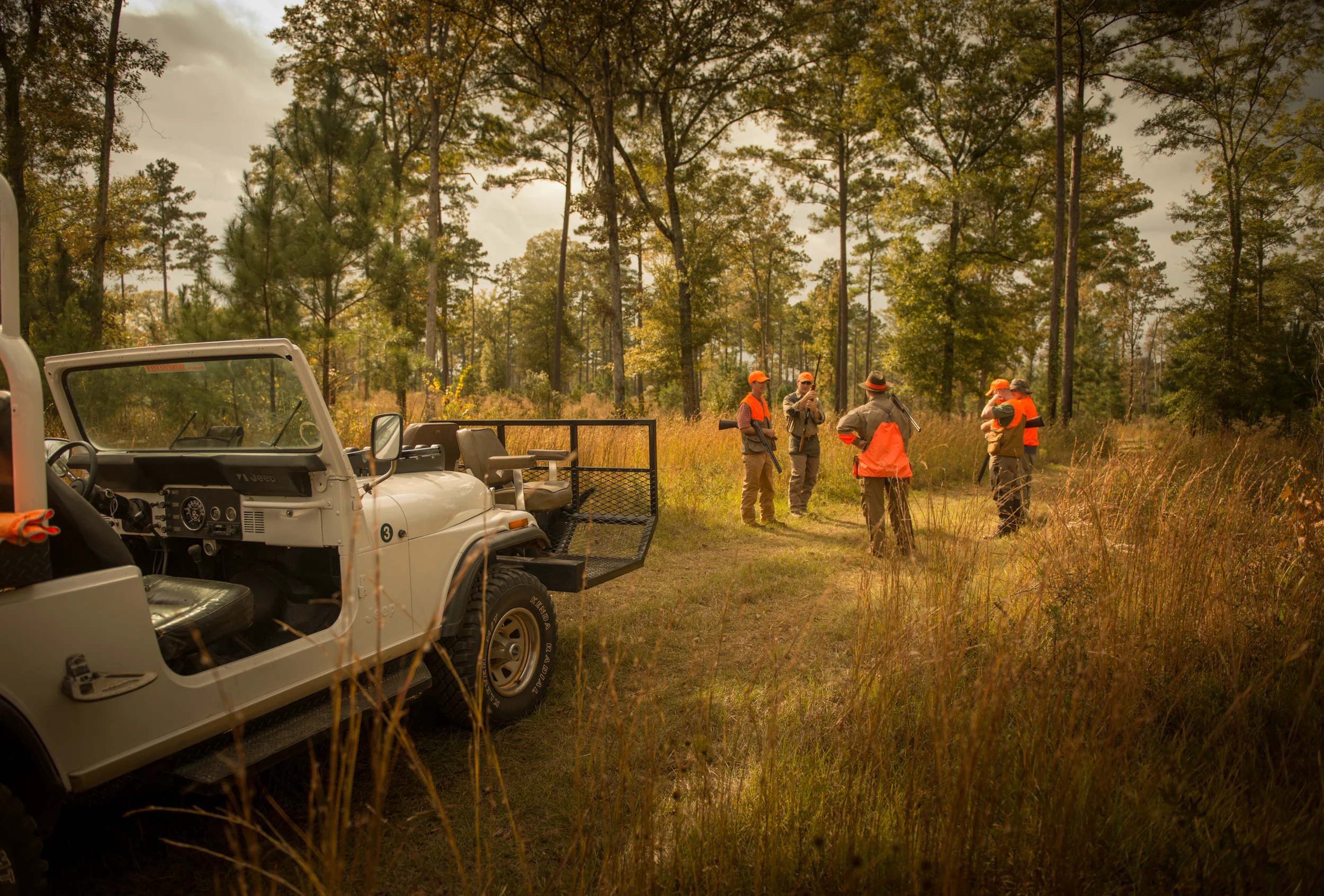 Qual Hunting at Wynfield Plantation 5 Albany, GA