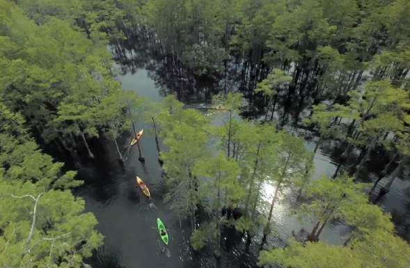 Screen Shot 2015-06-05 at 12.49.55 PM.png