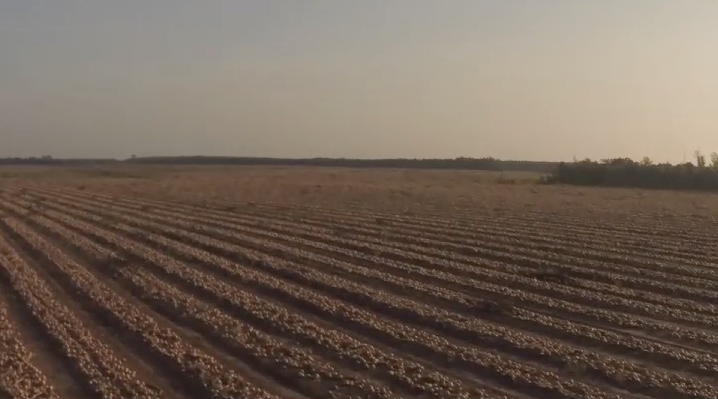 Screen Shot 2015-06-04 at 6.06.23 PM.png