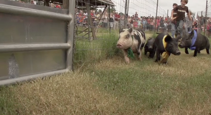 Screen Shot 2015-06-11 at 11.20.13 AM.png