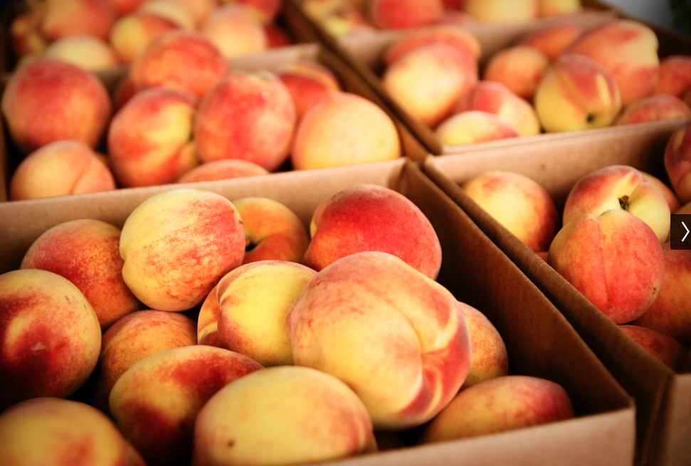 Screen Shot 2014-05-14 at 11.52.22 AM.png