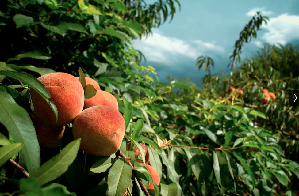 Screen Shot 2014-05-14 at 11.53.22 AM.png