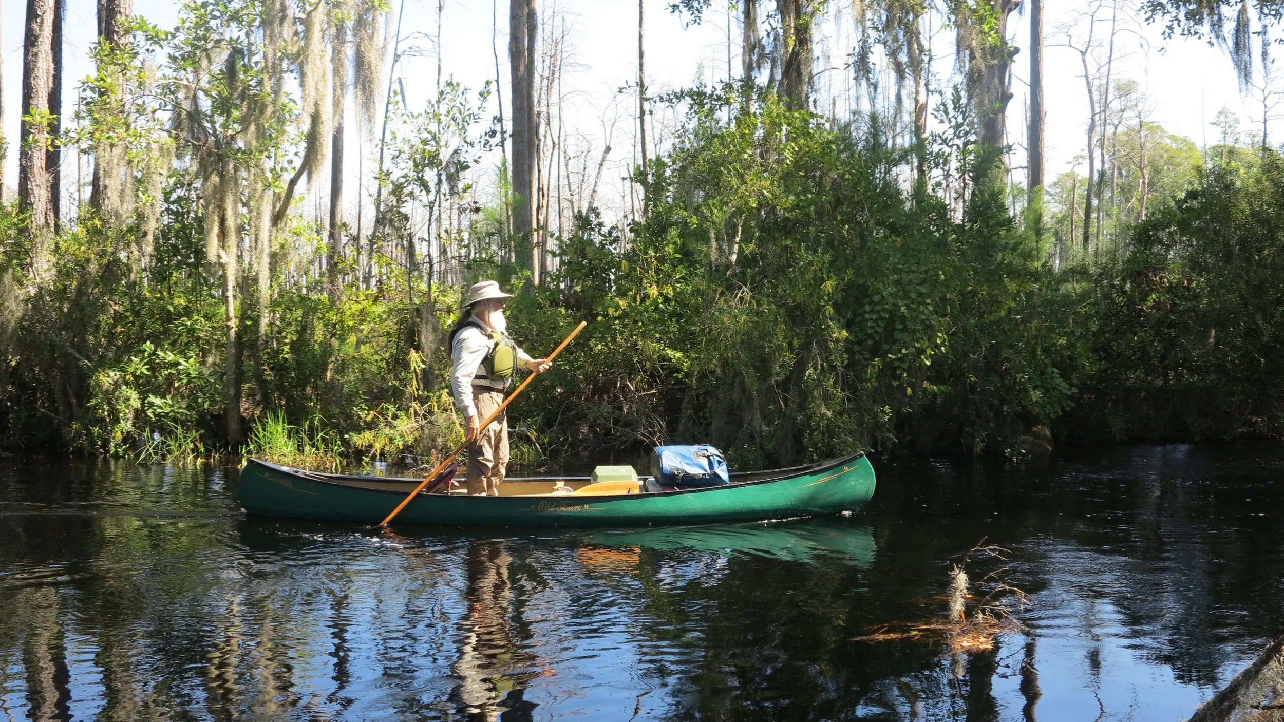 Chip Campbell, proprietor of Okefenokee Adventures, canoeing through Okefenikee Swamp  Folkston, GA. 