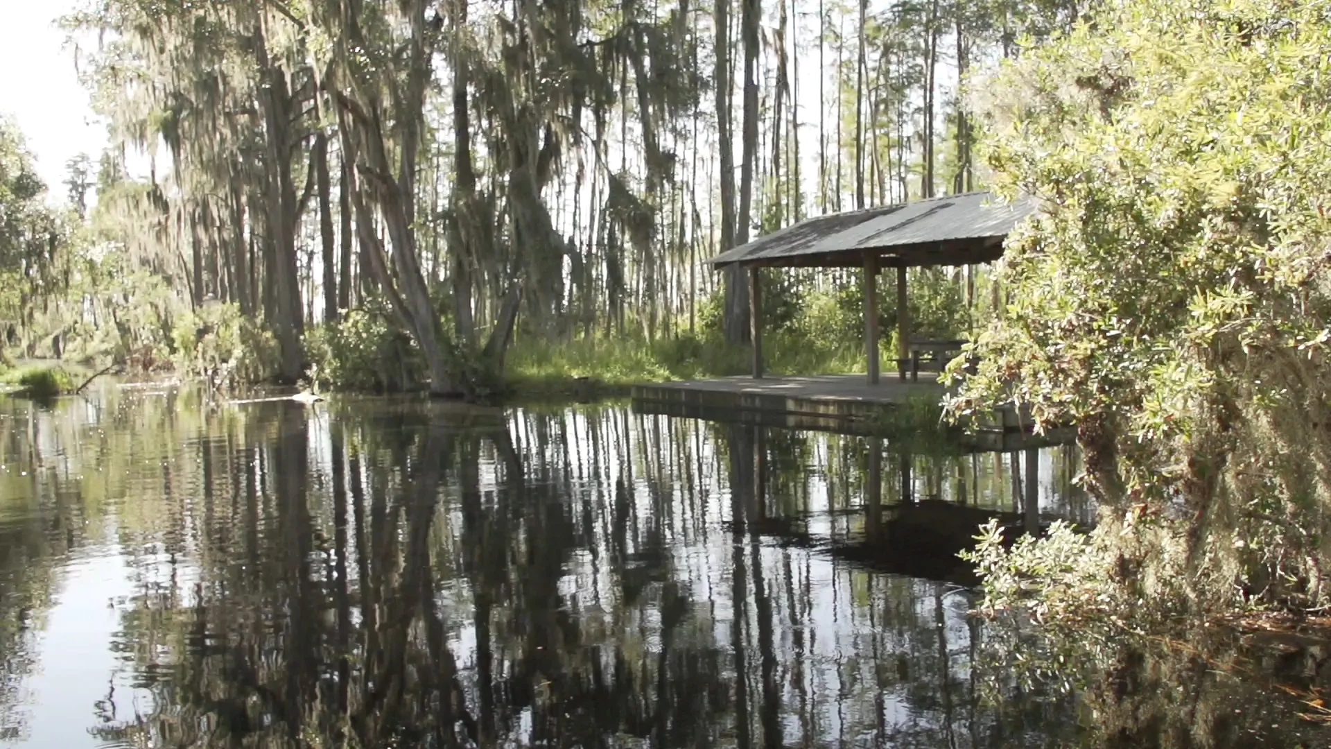 okefenokee campsite.jpg