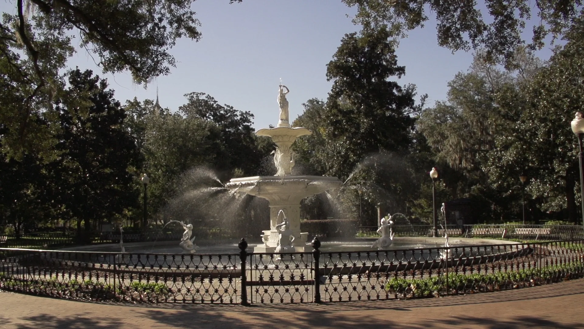 savannah 2.jpg