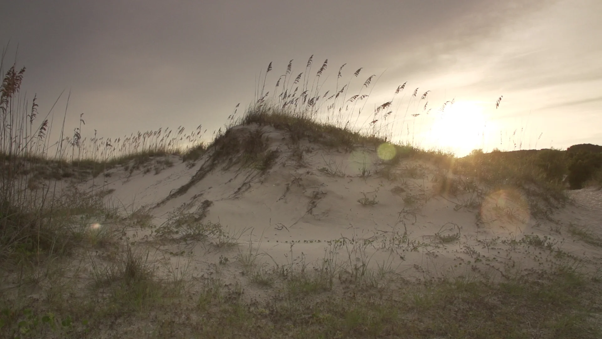 beach.jpg