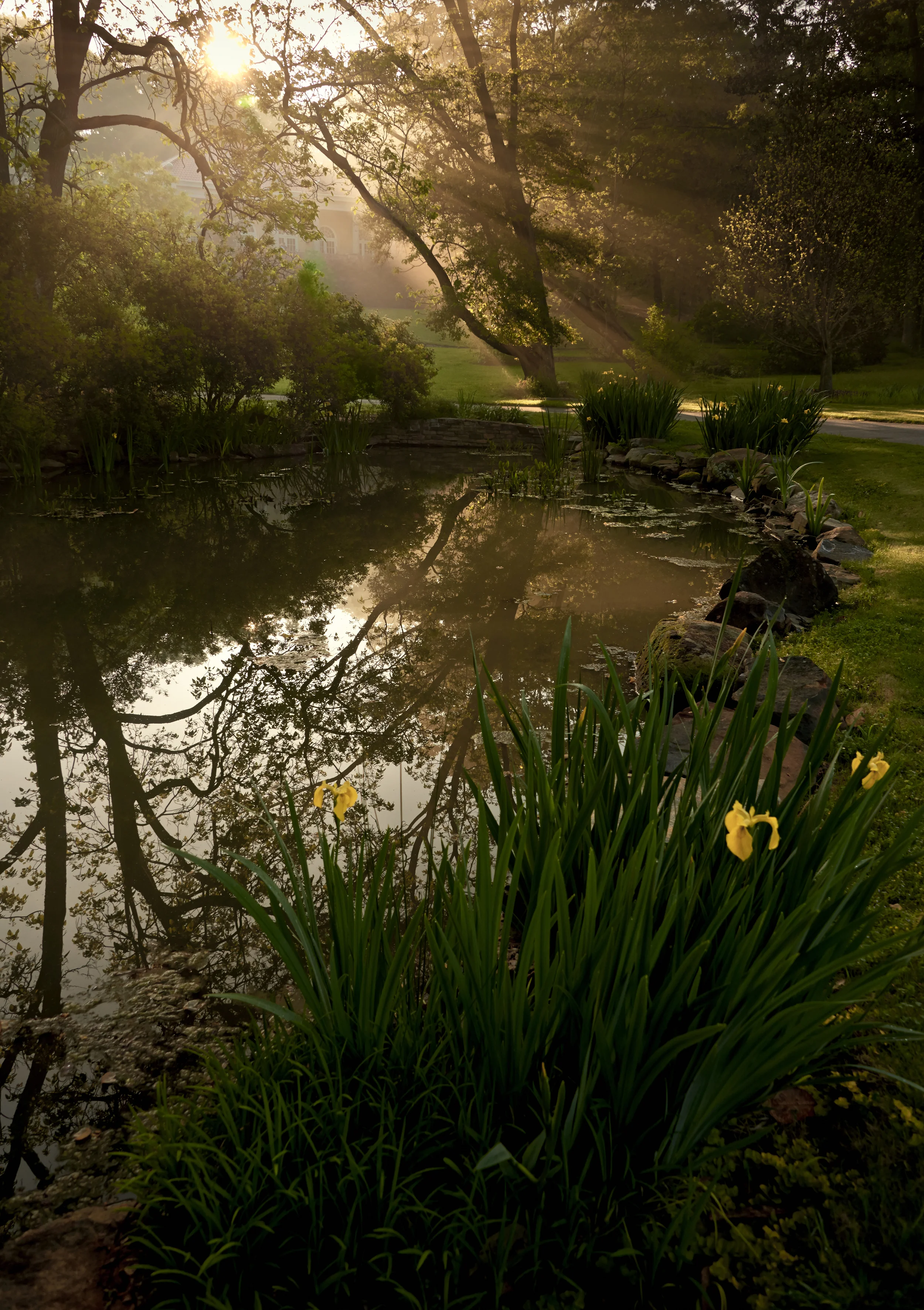 Pond at Hills and Dales Estate, LaGrange, GA