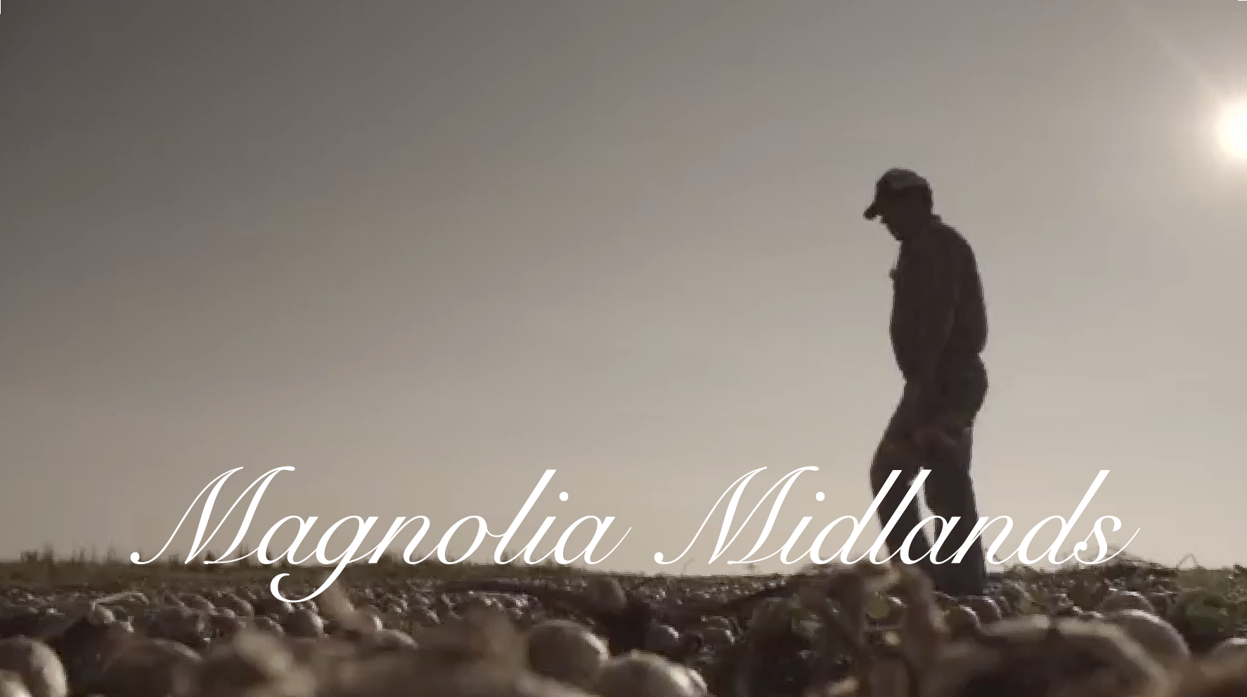 Magnolia Midlands Headeer.png