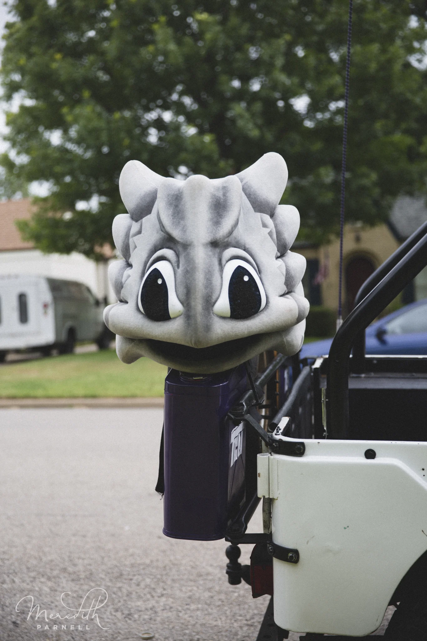 TCU_070715-21.jpg