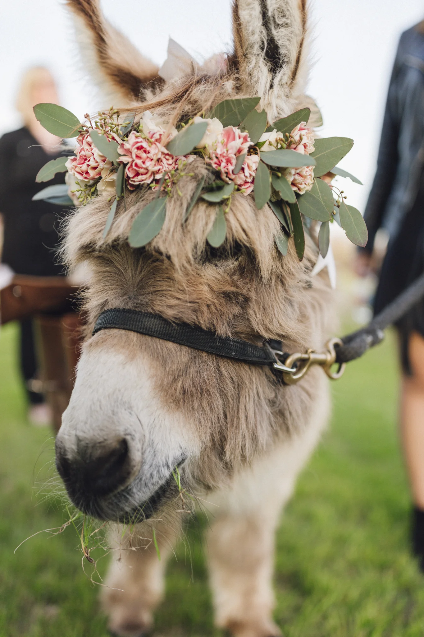 04-Post Ceremony-047.jpg