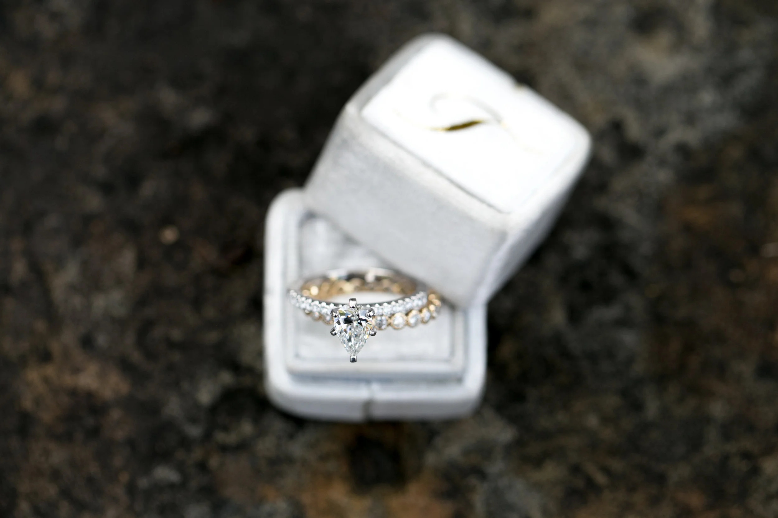 Meredith Parnell Photography - Wedding Rings