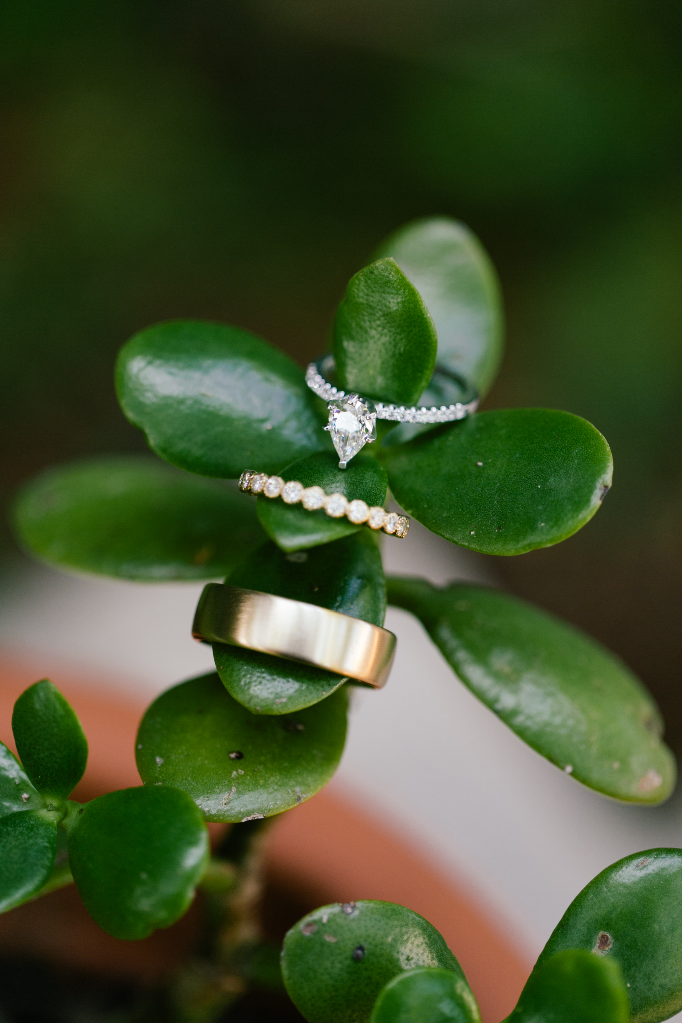 Meredith Parnell Photography - Wedding Rings