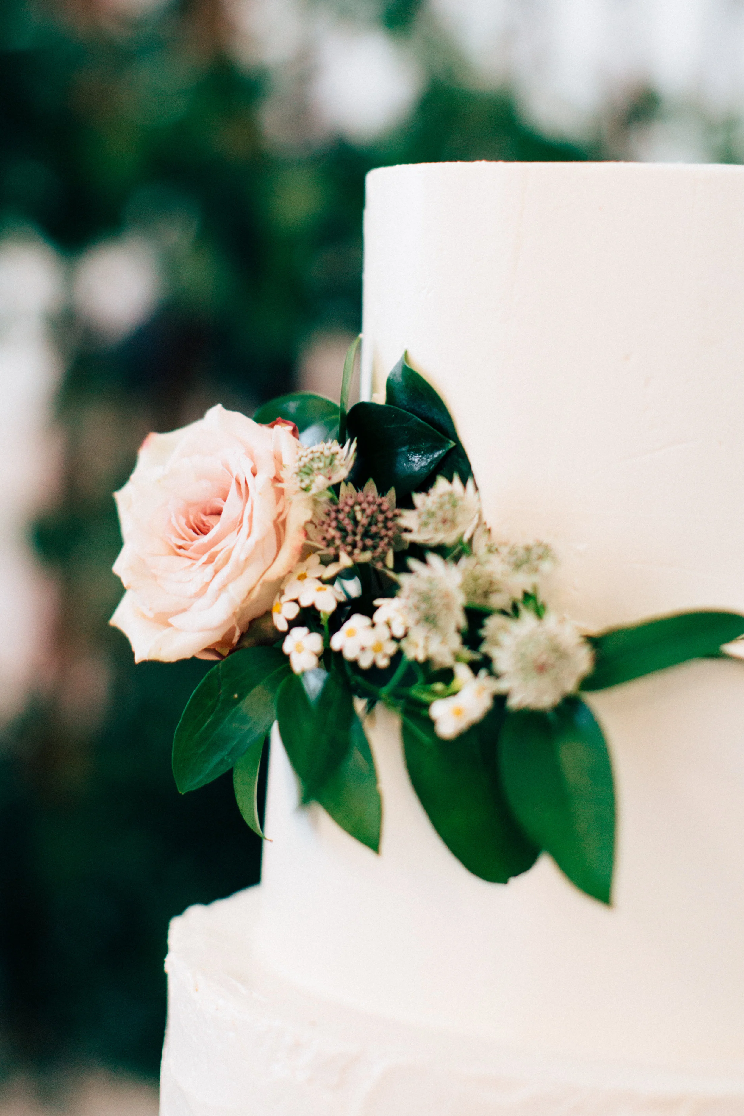 Meredith Parnell Photography - White Sparrow Barn Cake