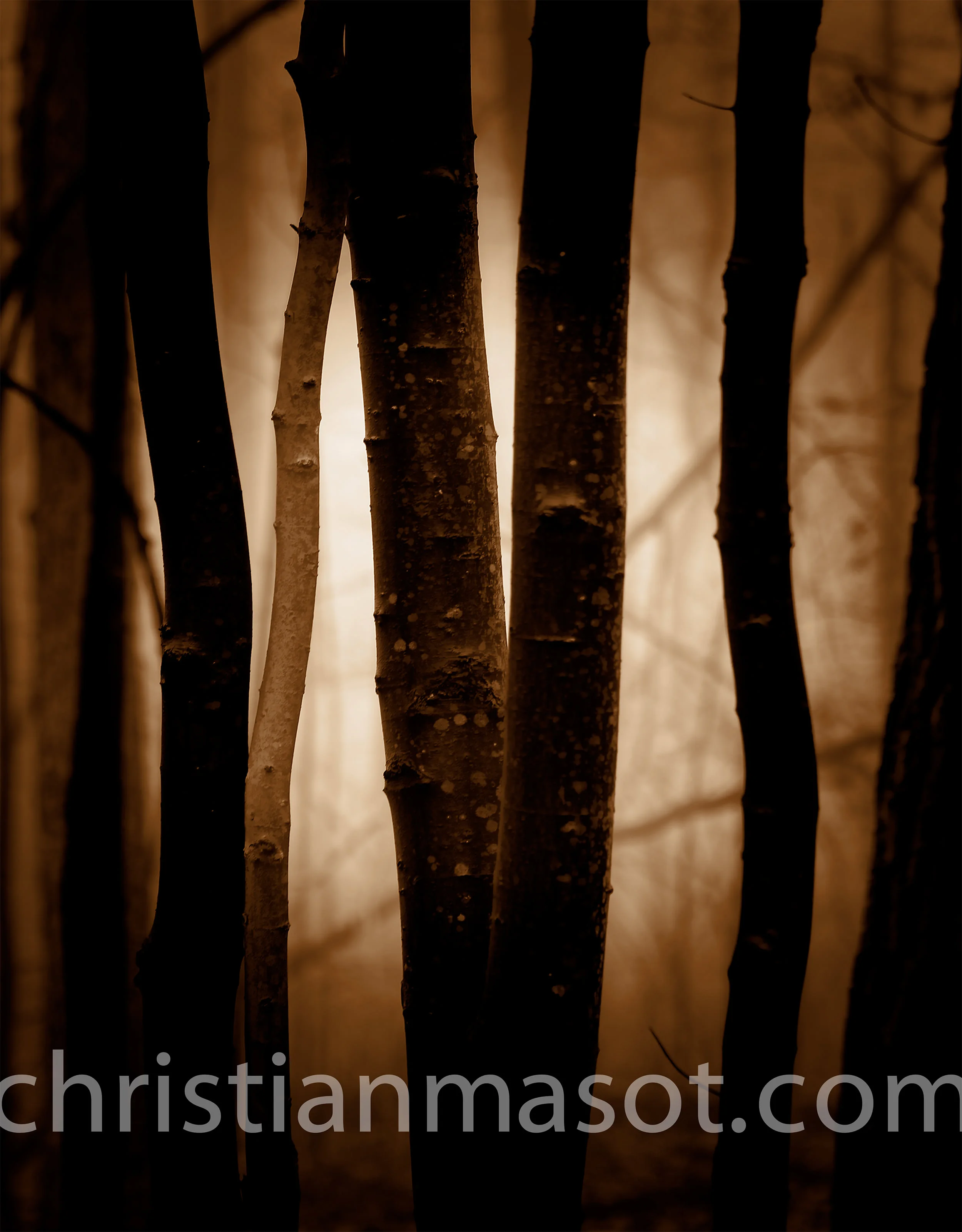 christianmasot-10.jpg