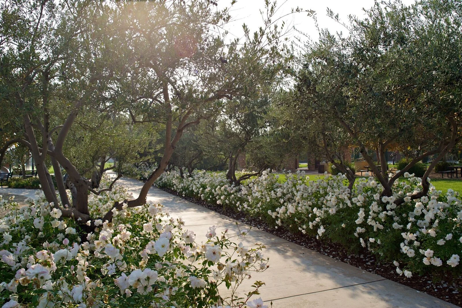 Harlan Ranch 01.jpeg