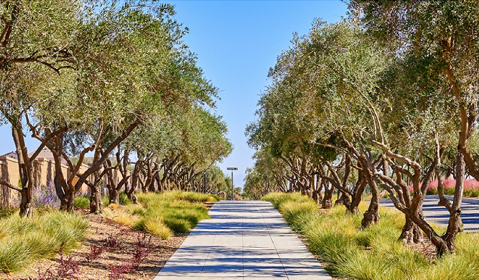 Riverstone Tree Lined Street 02.jpg