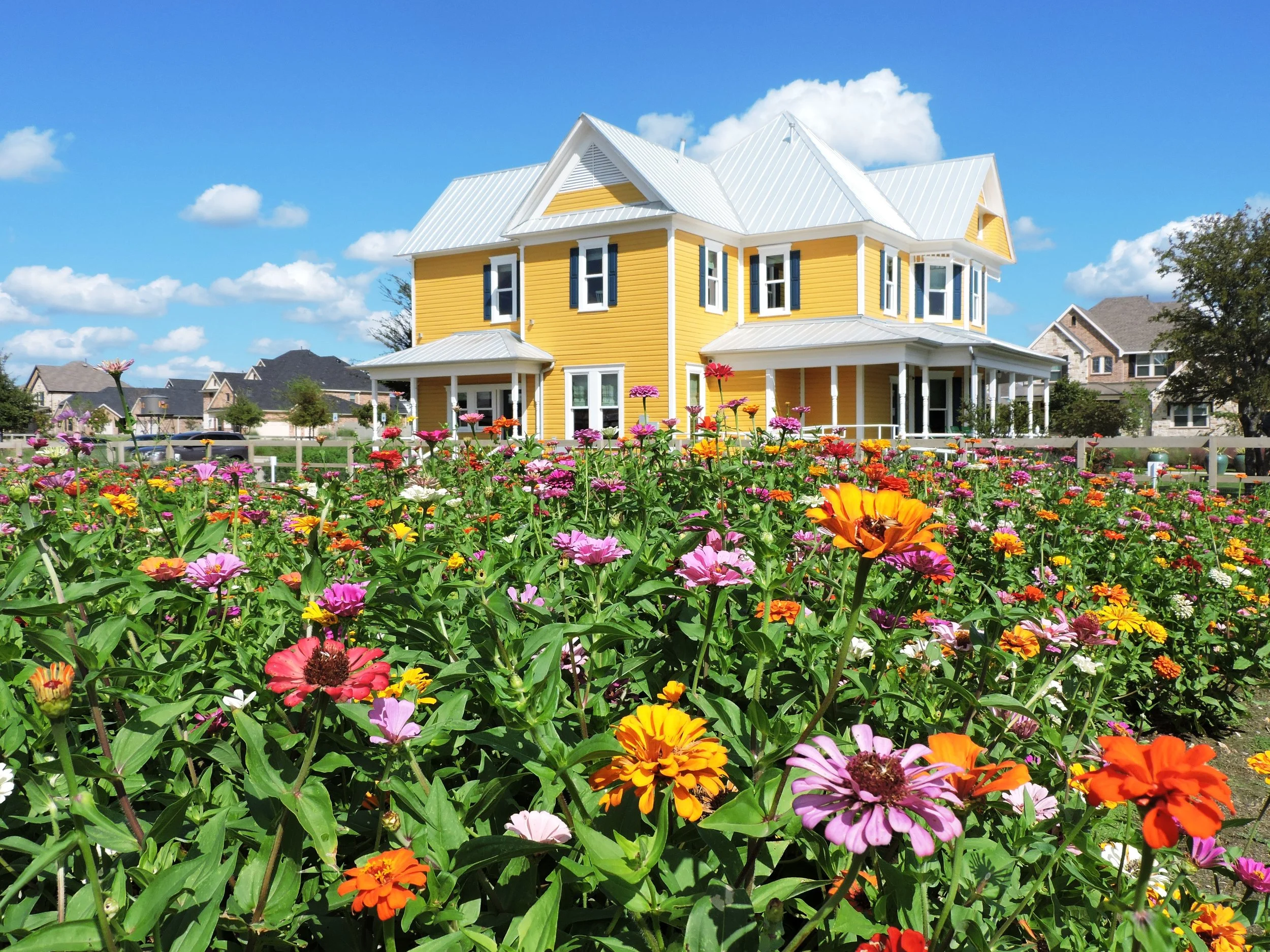 houseandgarden.jpg