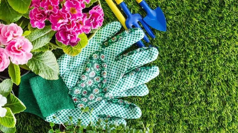 spring-flowers-000060274106_large.jpg
