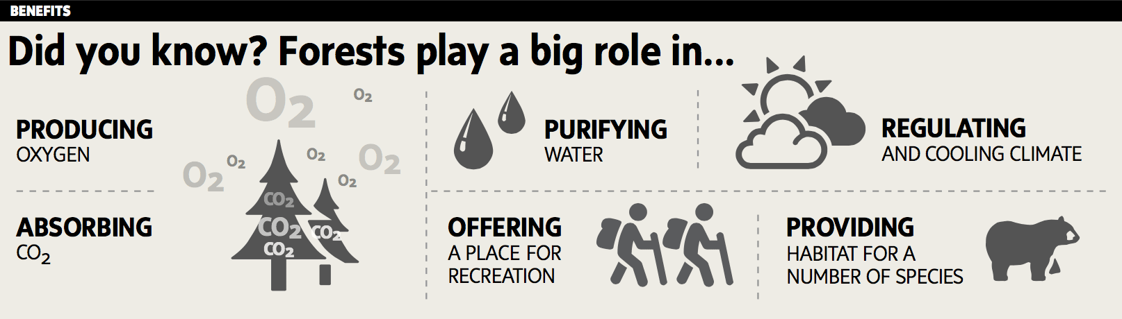 Did ou know? Forests play a big role in...