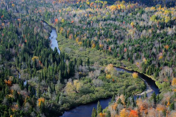 Bartholomew River, Miramichi, NB (Photo by Mike Dembeck)
