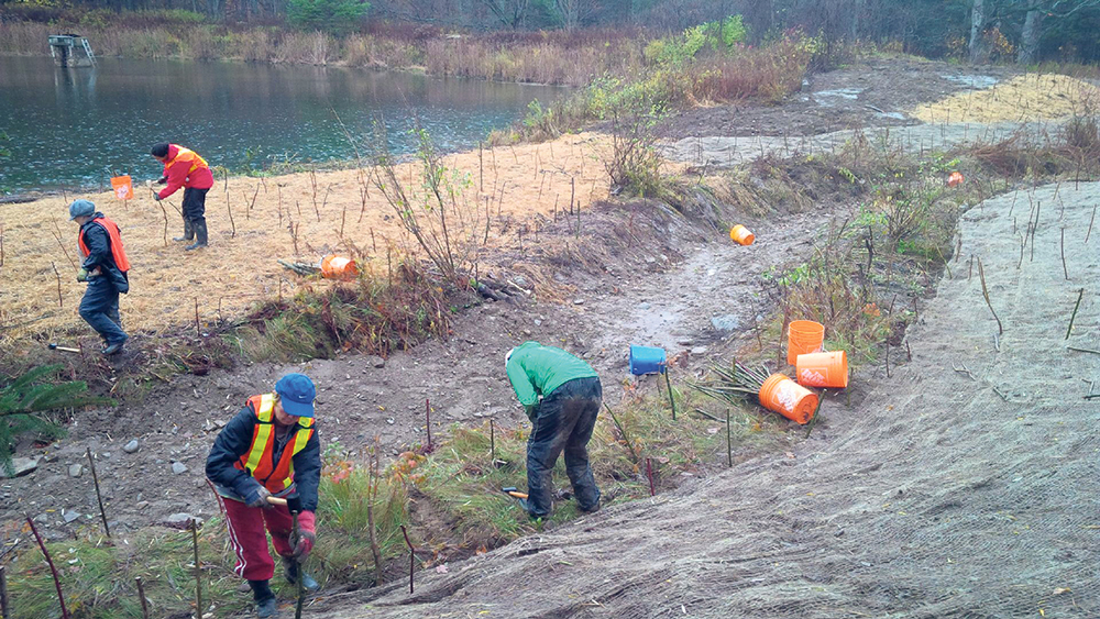Volunteers installing live stakes to stabilize and restore the banks of the newly created stream channel in Creemore, ON.