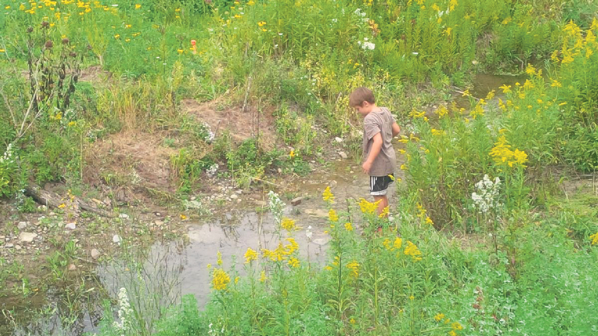 Simon, a resident of Creemore, explores the restored stream