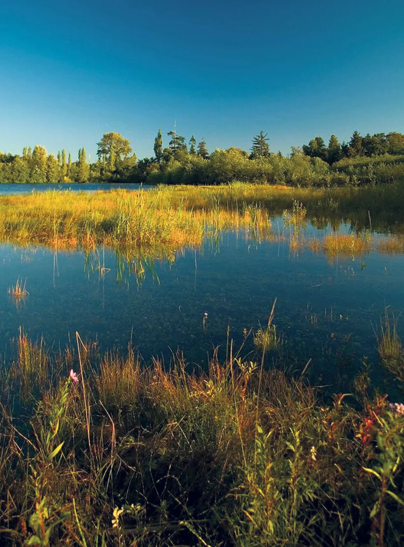 ...into a thriving area of ecological diversity.