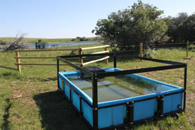 A water trough with clean water at Waterton Park Front, AB (Photo by NCC)