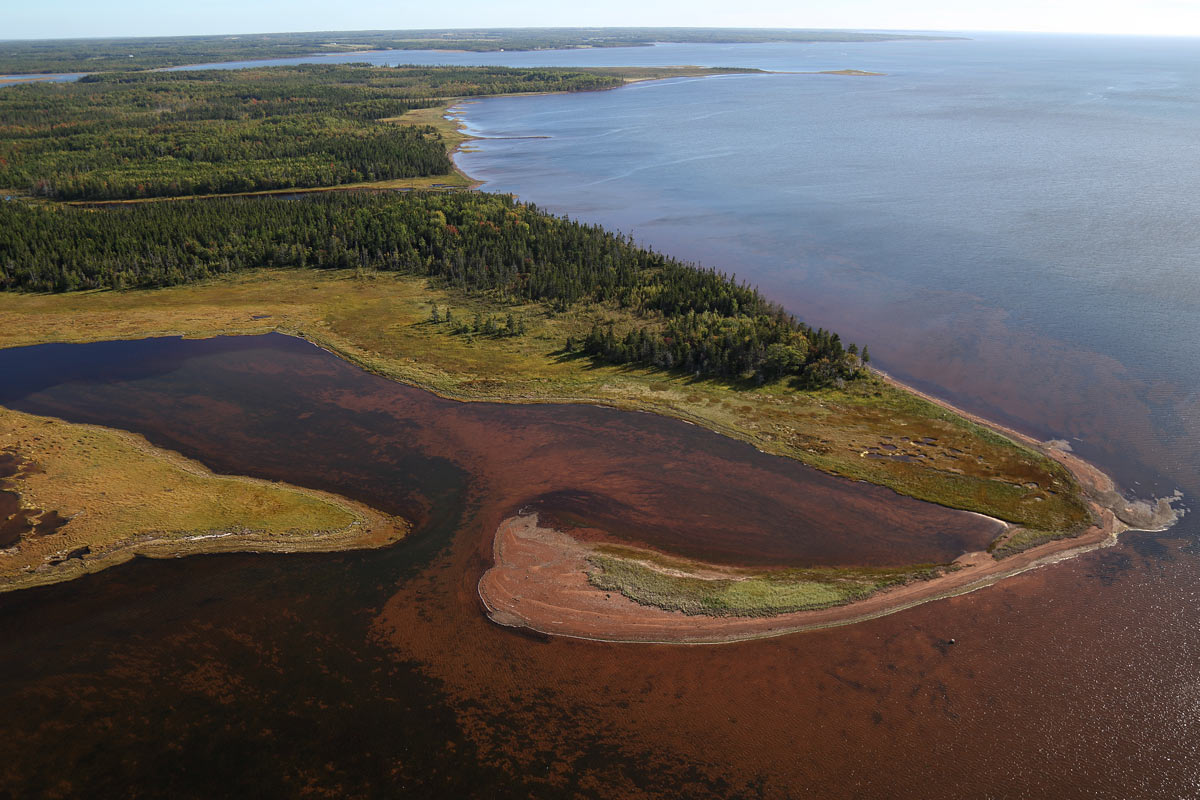 Acadian Forest - Egmont Bay, PEI (Photo by Mike Dembeck)