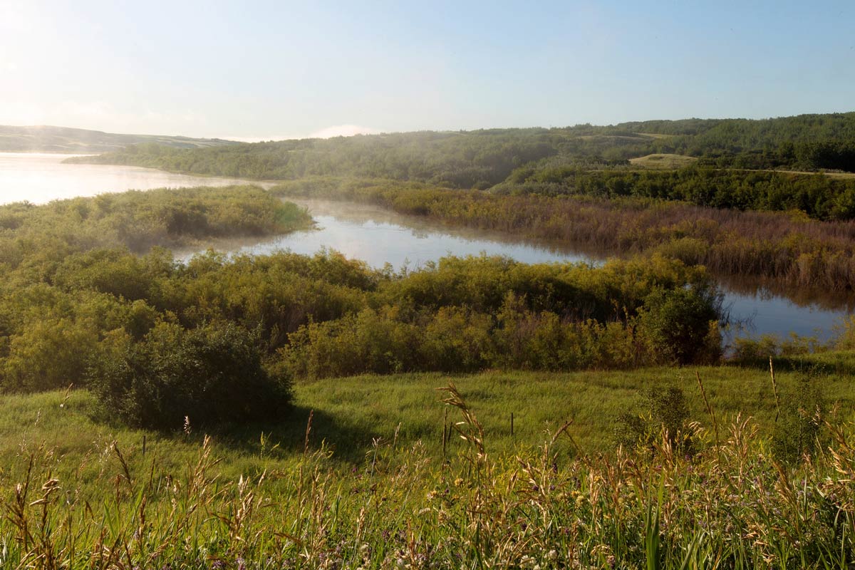 Boreal Forest (edge of grasslands) - Maymont, SK (Photo by Mike Dembeck)