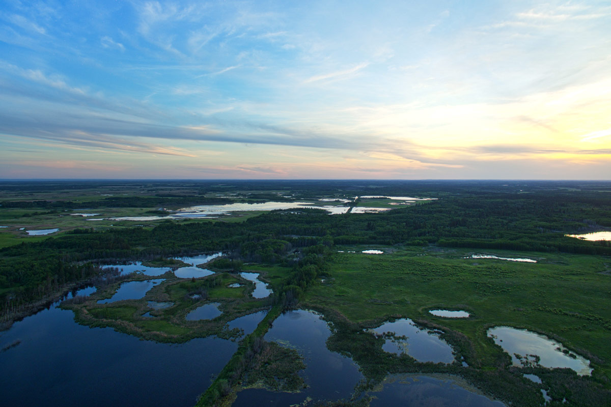 Boreal Forest - Nebo, SK (Photo by Mike Dembeck)