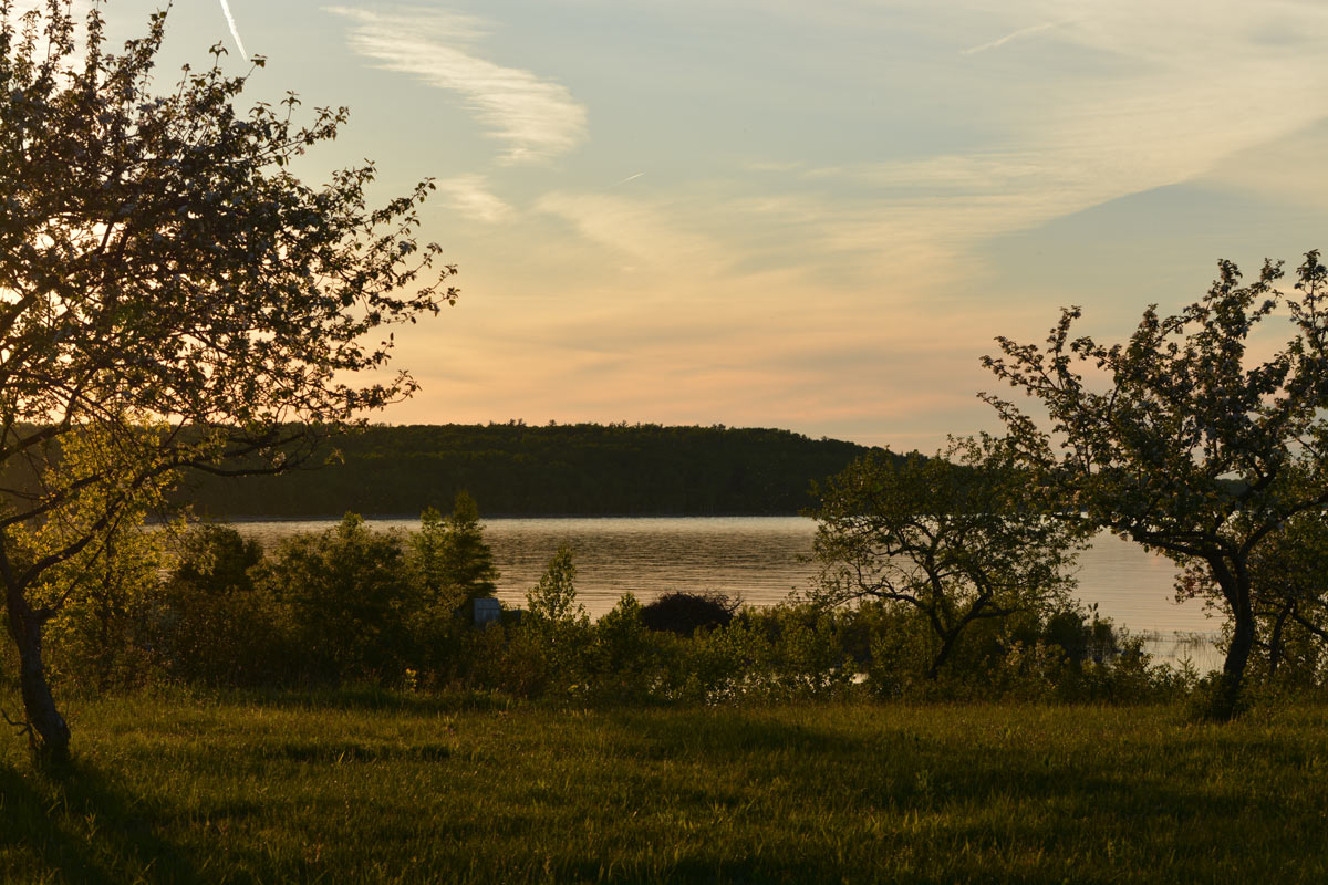 Great Lakes - St. Lawrence Forest - Cockburn Island, ON (Photo by NCC)
