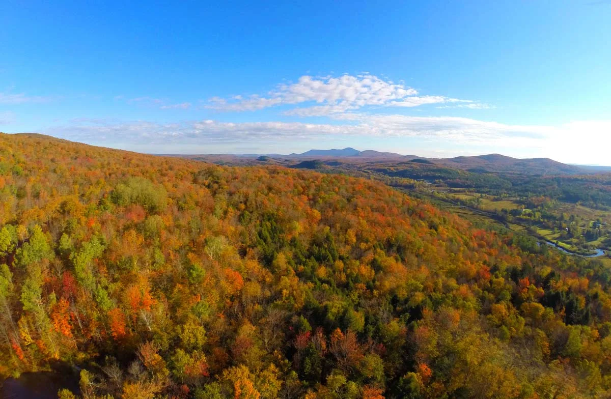 Great Lakes - St. Lawrence Forest - Mount Foster, QC (Photo by Mike Dembeck)