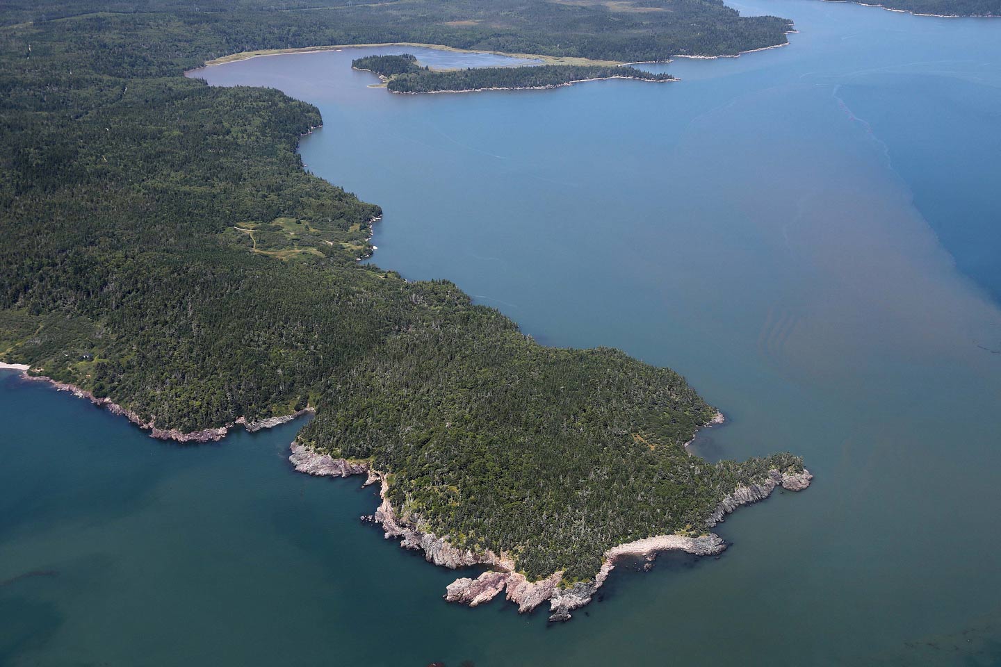 Musquash Estuary (Photo by Mike Dembeck)