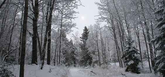 Photo credit: NCC