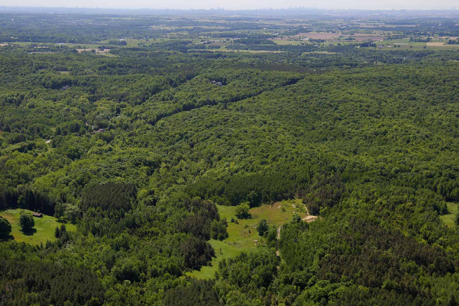 Happy Valley Forest, ON (Photo by Mike Dembeck)