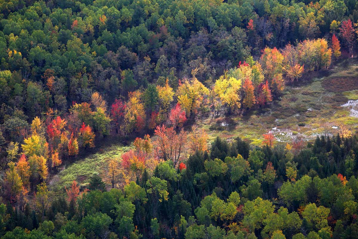 Vicente-Vallée de l'Outaouais, QC (Photo by Mike Dembeck)